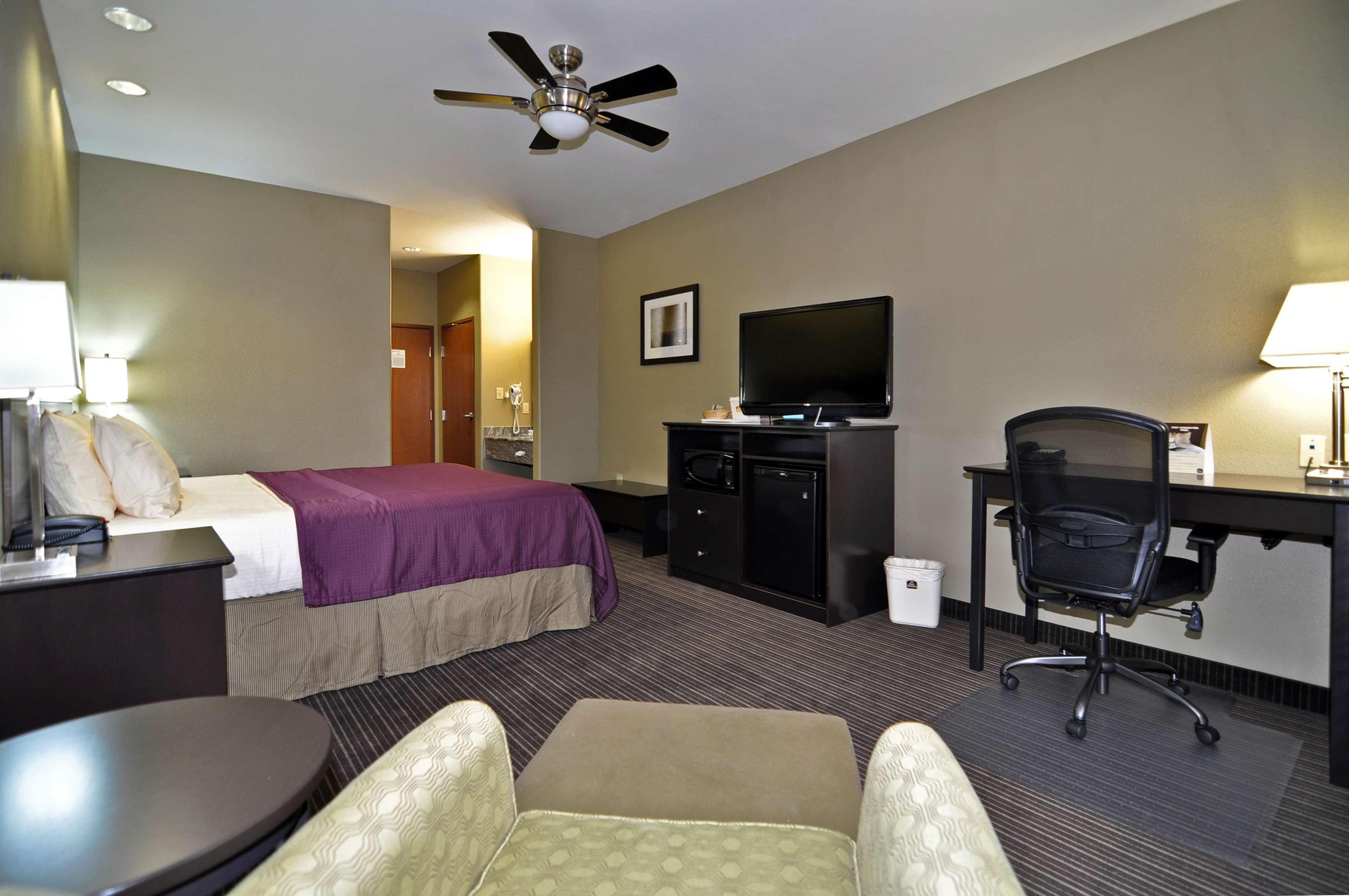 Best Western Giddings Inn & Suites Номер фото